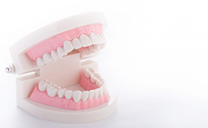 歯周病（歯槽膿漏）治療