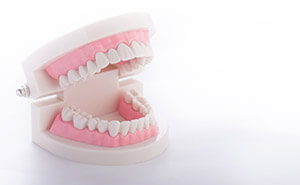 歯とお口の中を守るメンテナンスの役割をする歯科ドック